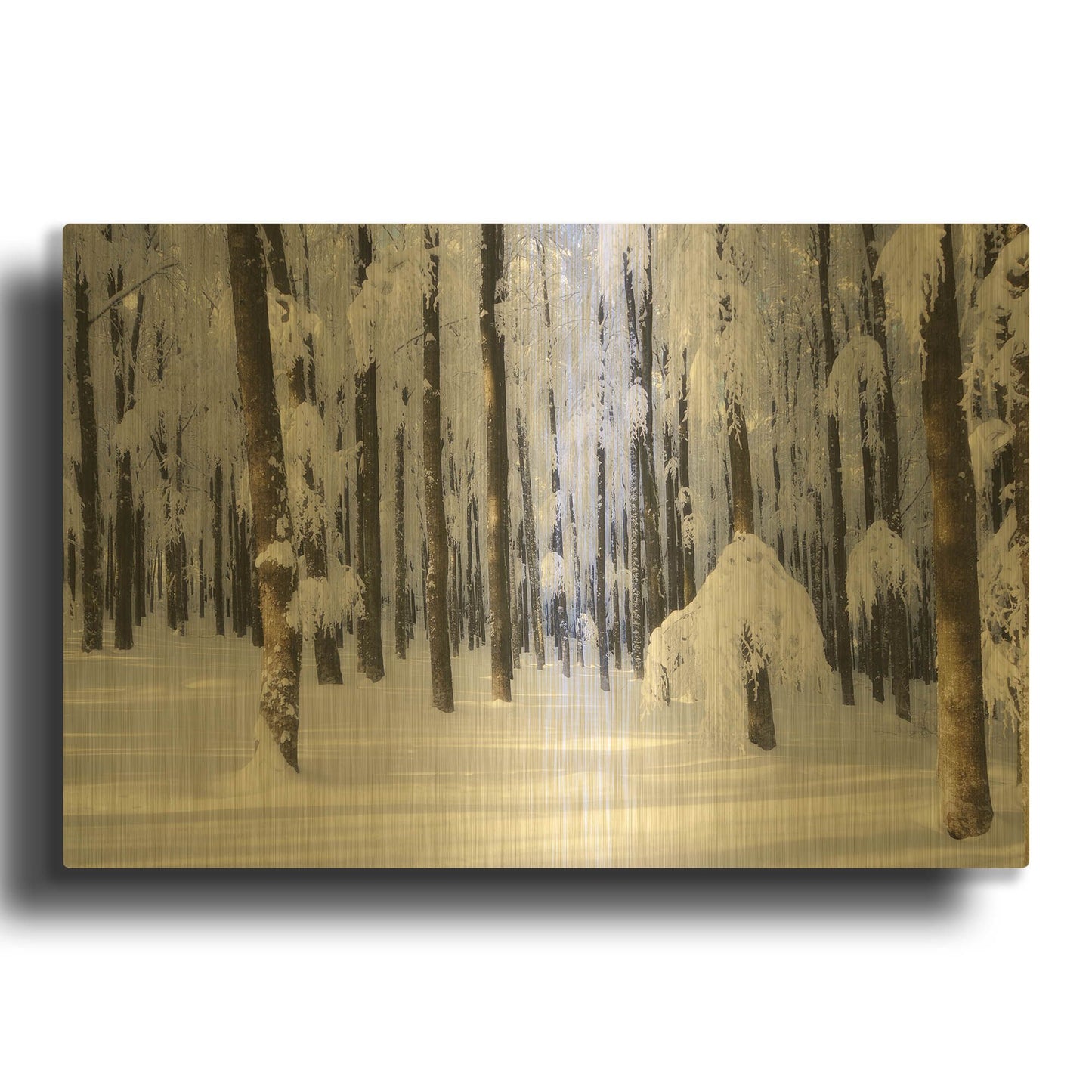 'White Muslin' By Philippe Sainte Gold Metal Wall Art