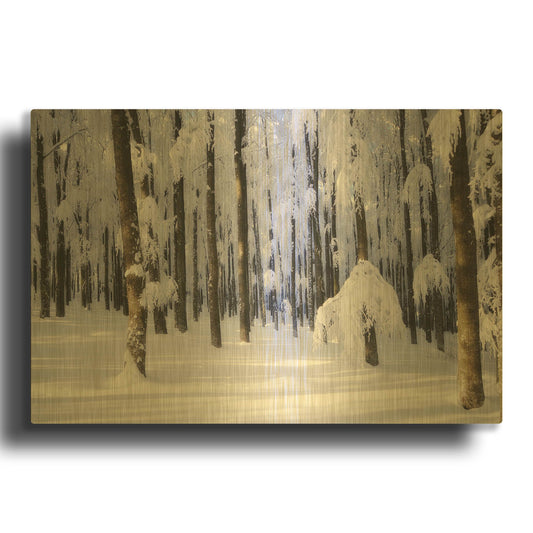 'White Muslin' By Philippe Sainte Gold Metal Wall Art