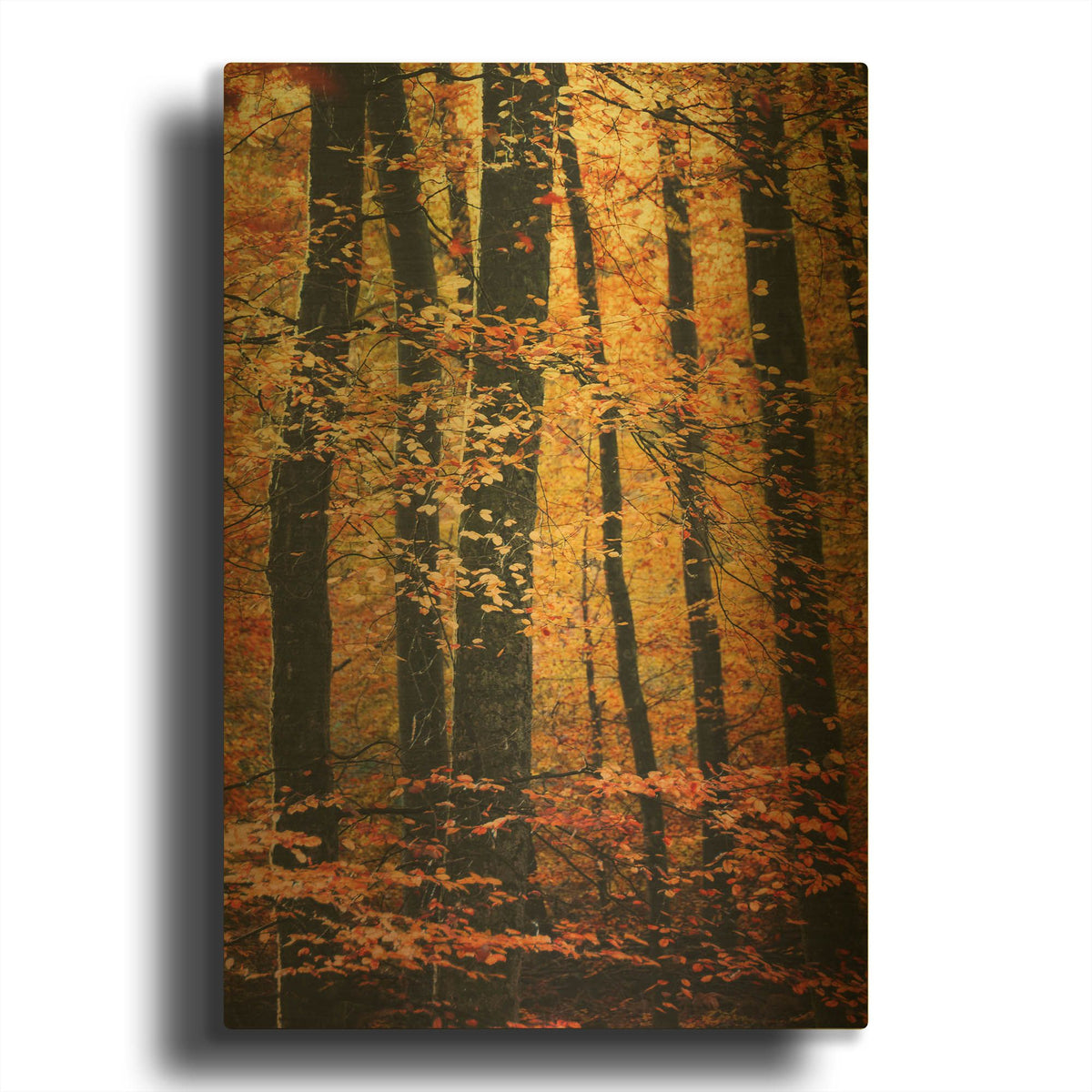 'Wind in the Trees' By Philippe Sainte Gold Metal Wall Art