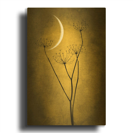 'Yellow Crescent Moon' By Philippe Sainte Gold Metal Wall Art