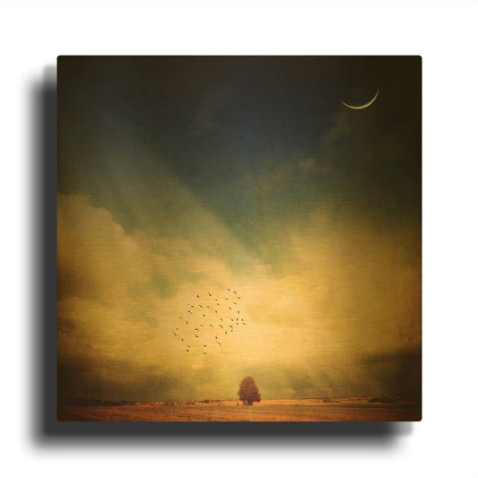 'Echo Of A Sigh' By Philippe Sainte Gold Metal Wall Art