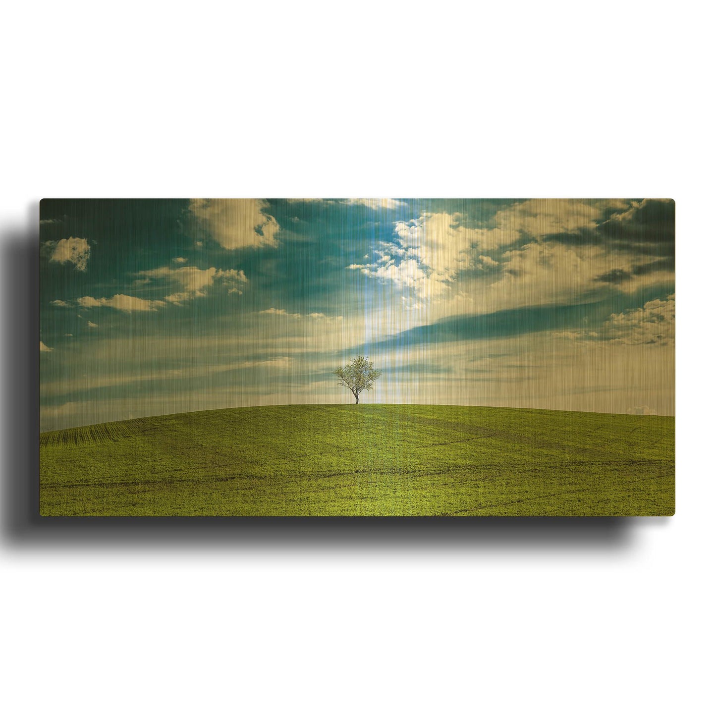 'The One' By Giuseppe Torre Gold Metal Wall Art