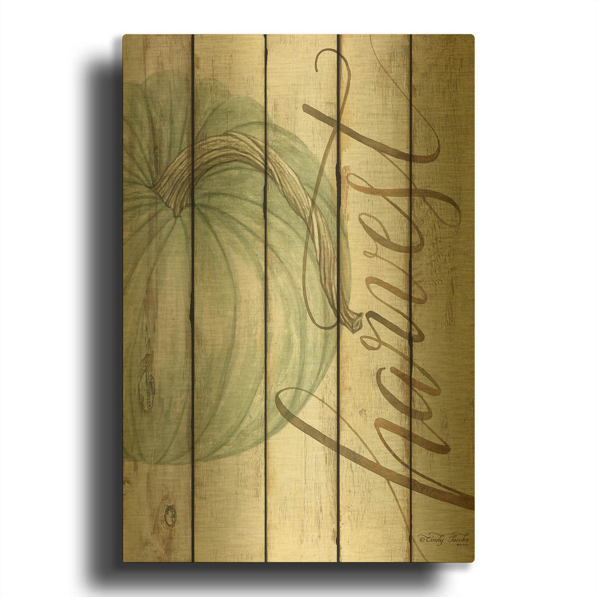 'Harvest Pumpkin on Shiplap' By Cindy Jacobs Gold Metal Wall Art