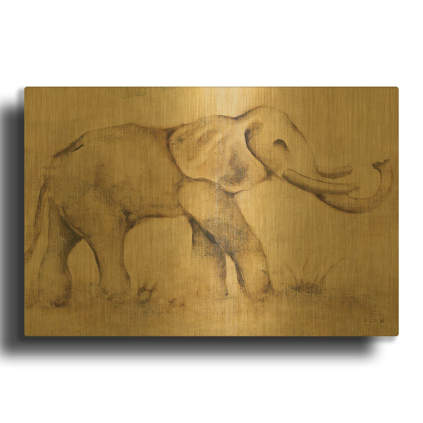 'Global Elephant Light Crop' By Cheri Blum Gold Metal Wall Art