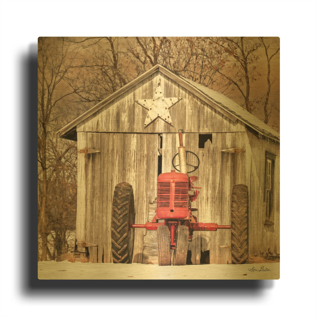 'Star Shed' By Lori Deiter Gold Metal Wall Art