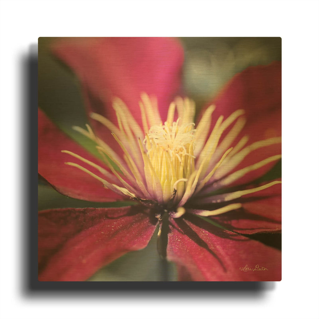 'Floral Pop II' By Lori Deiter Gold Metal Wall Art