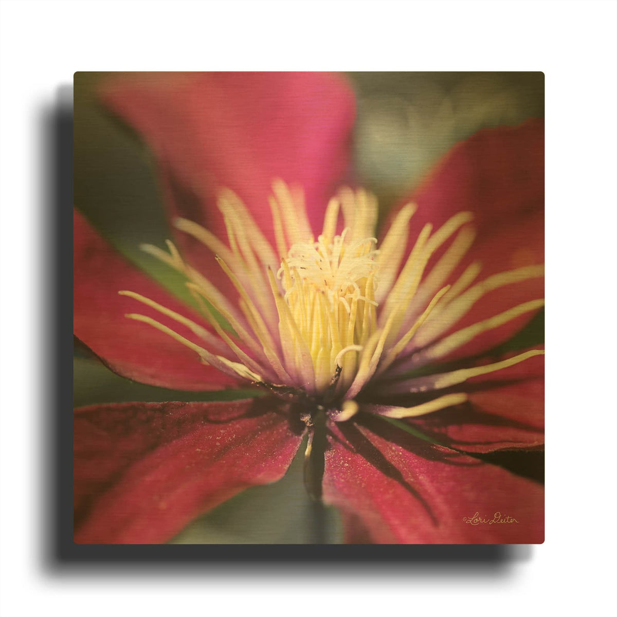 'Floral Pop II' By Lori Deiter Gold Metal Wall Art