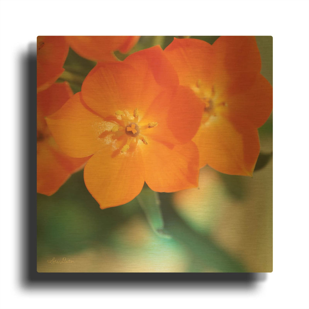 'Floral Pop III' By Lori Deiter Gold Metal Wall Art