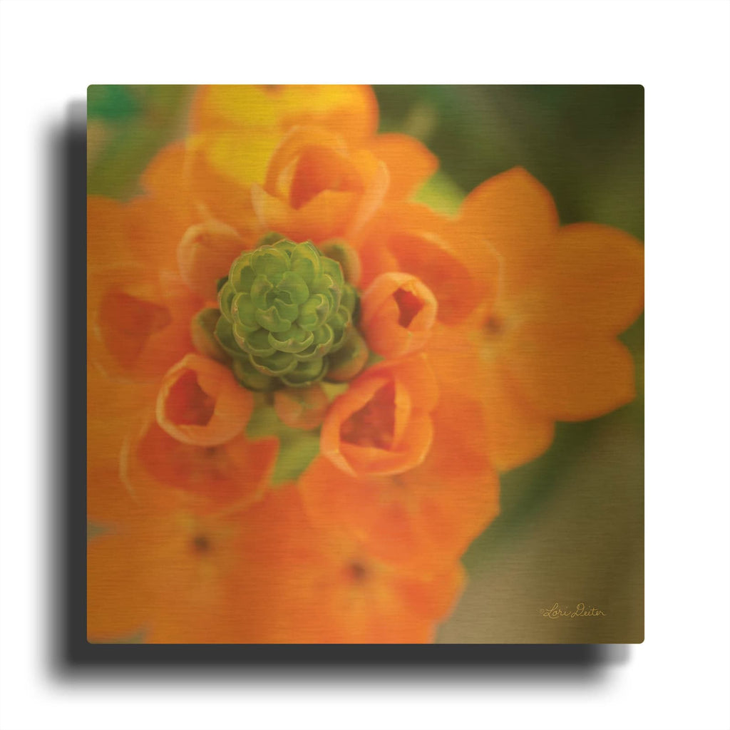 'Floral Pop IV' By Lori Deiter Gold Metal Wall Art