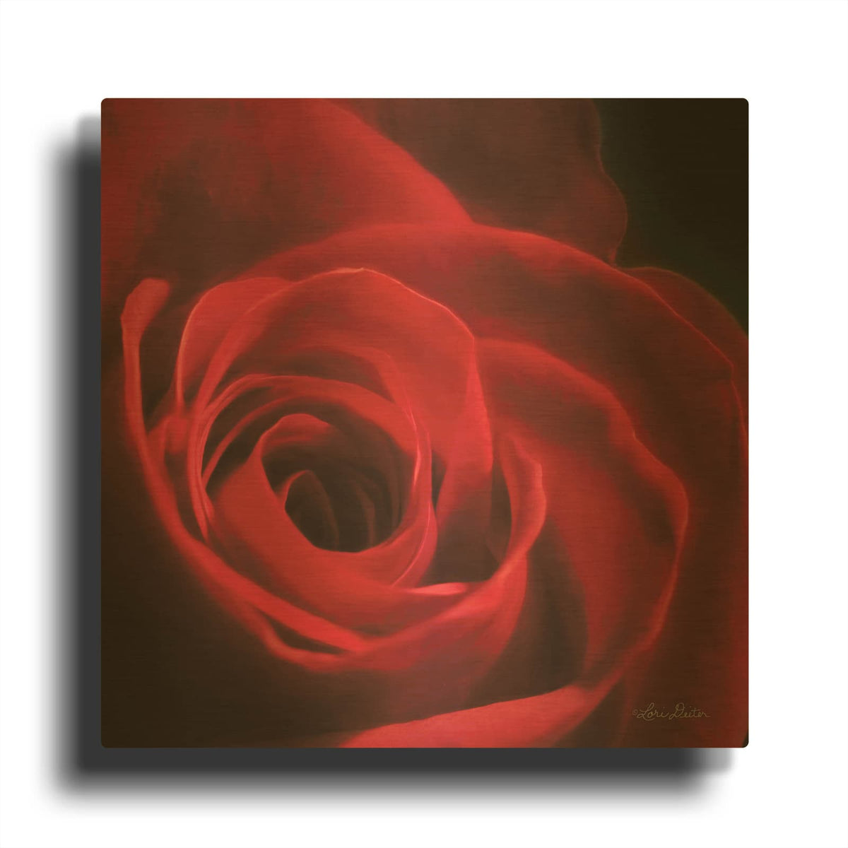 'The Red Rose I' By Lori Deiter Gold Metal Wall Art
