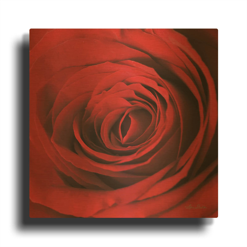 'The Red Rose II' By Lori Deiter Gold Metal Wall Art