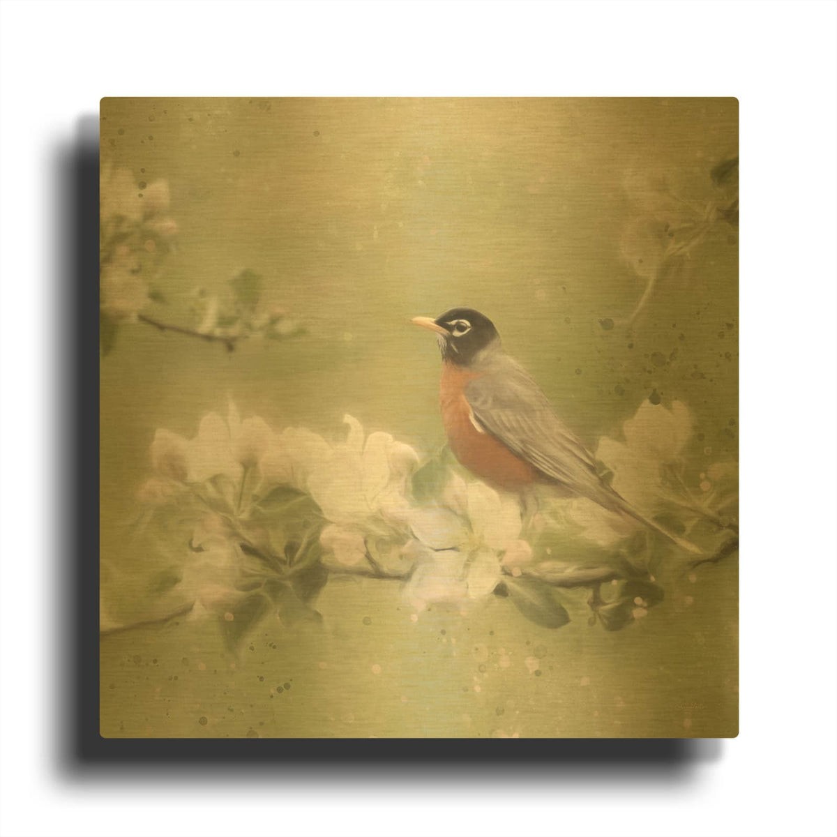 'Springtime Robin' By Lori Deiter Gold Metal Wall Art