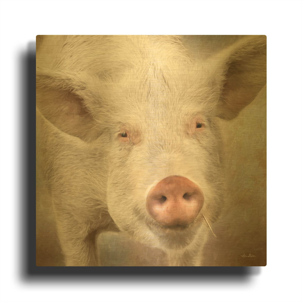 'Pig Face' By Lori Deiter Gold Metal Wall Art