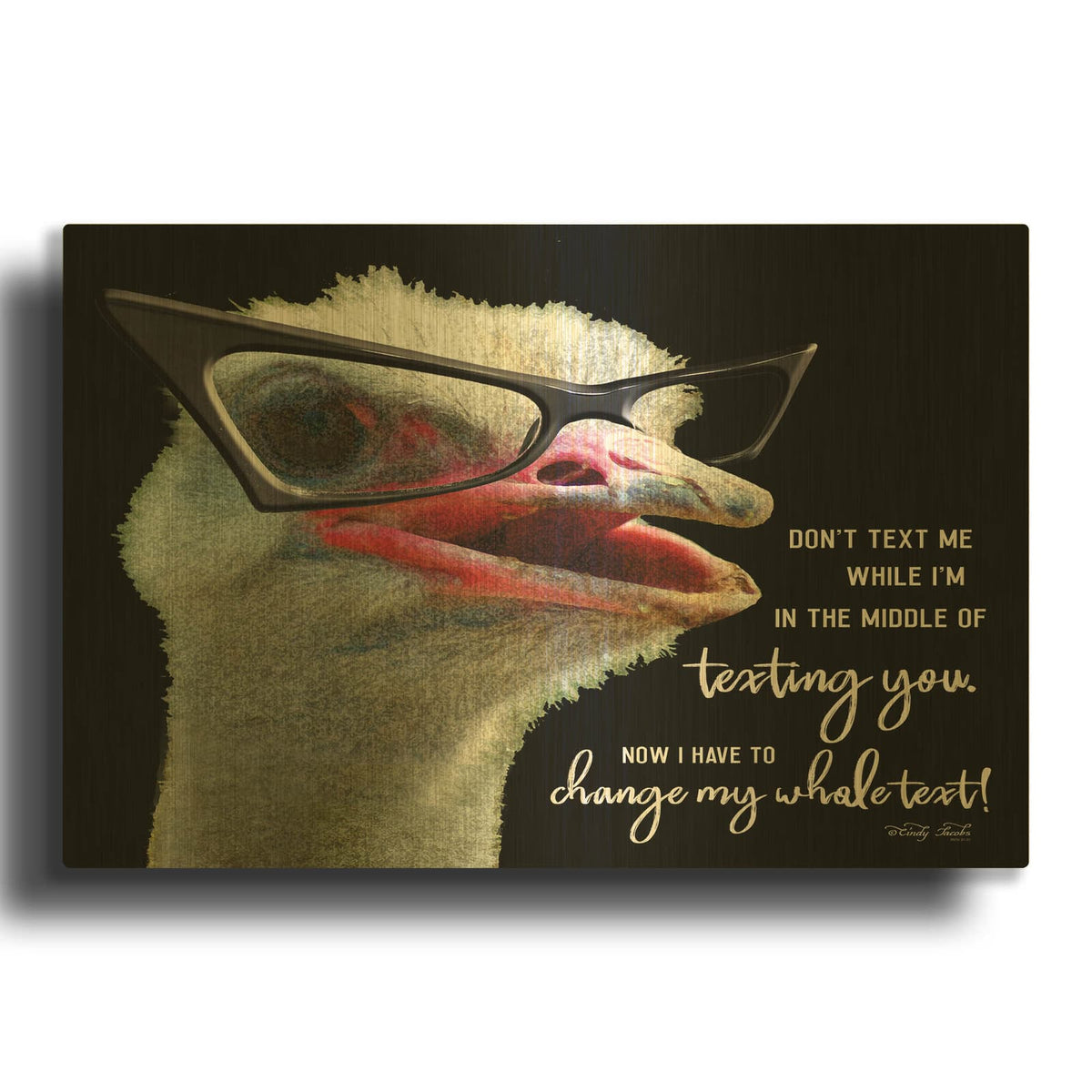 'Ostrich Don' By Cindy Jacobs Gold Metal Wall Art