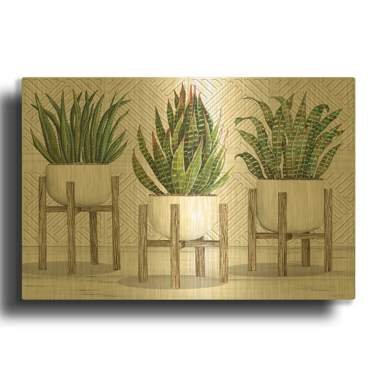 'Succulent Trio on Stands' By Cindy Jacobs Gold Metal Wall Art