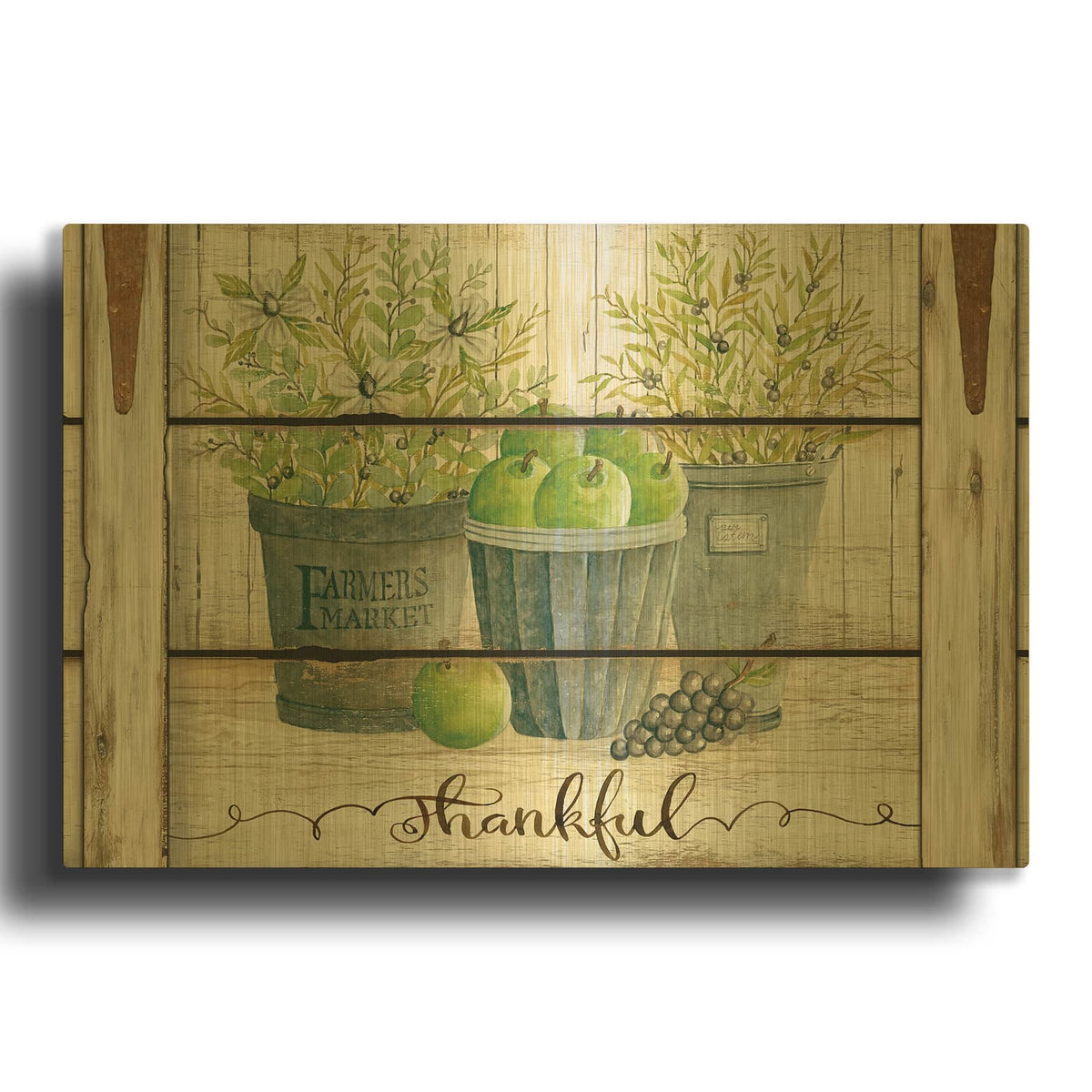 'Eucalyptus - Thankful Landscape' By Cindy Jacobs Gold Metal Wall Art
