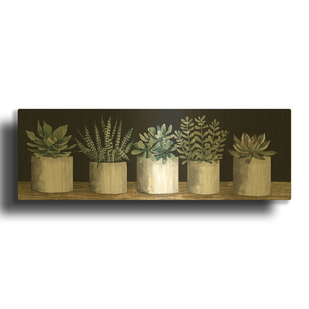 'Succulent Row' By Cindy Jacobs Gold Metal Wall Art