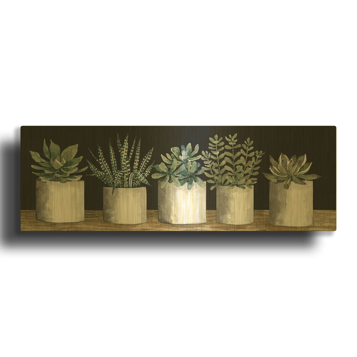 'Succulent Row' By Cindy Jacobs Gold Metal Wall Art