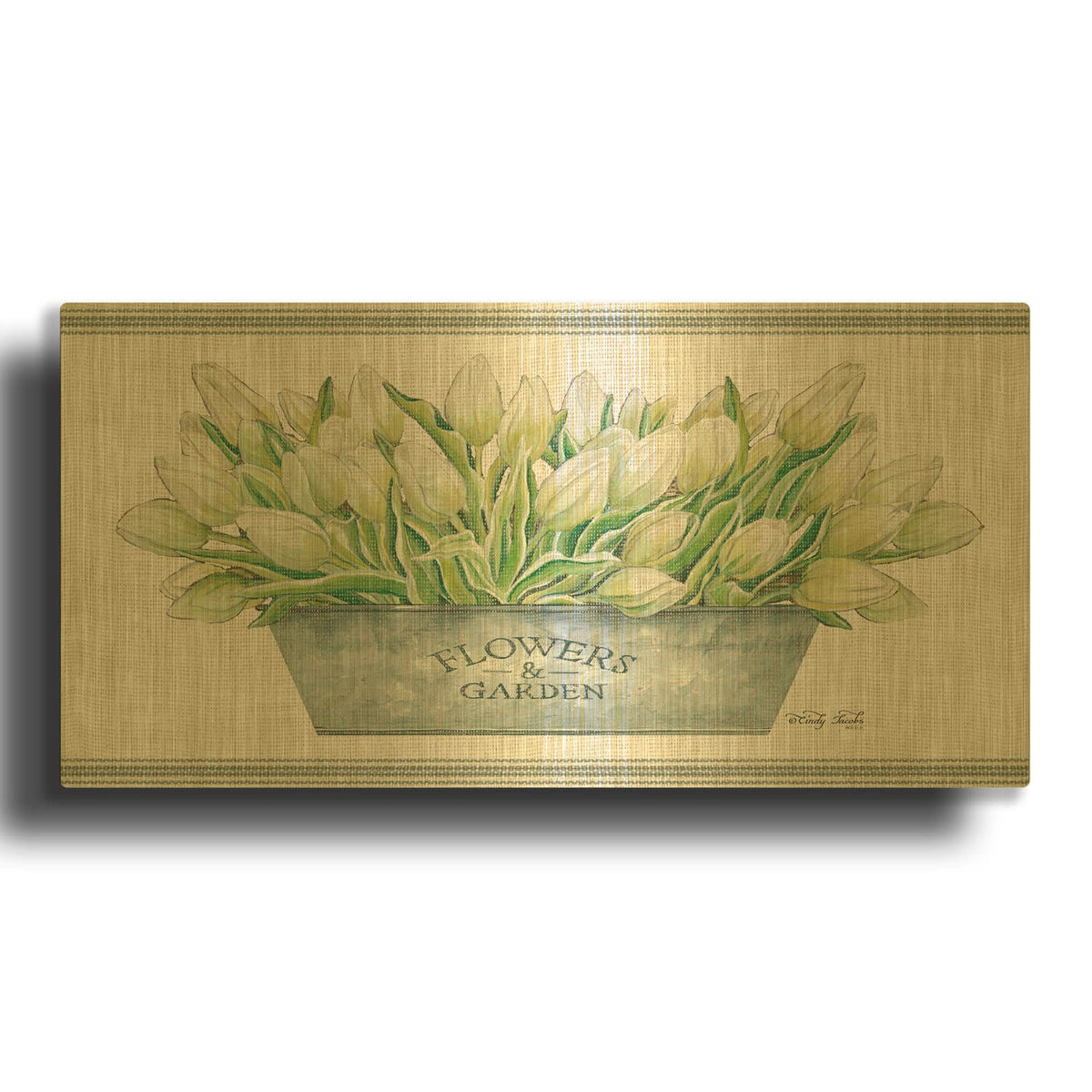 'Flowers & Garden White Tulips' By Cindy Jacobs Gold Metal Wall Art