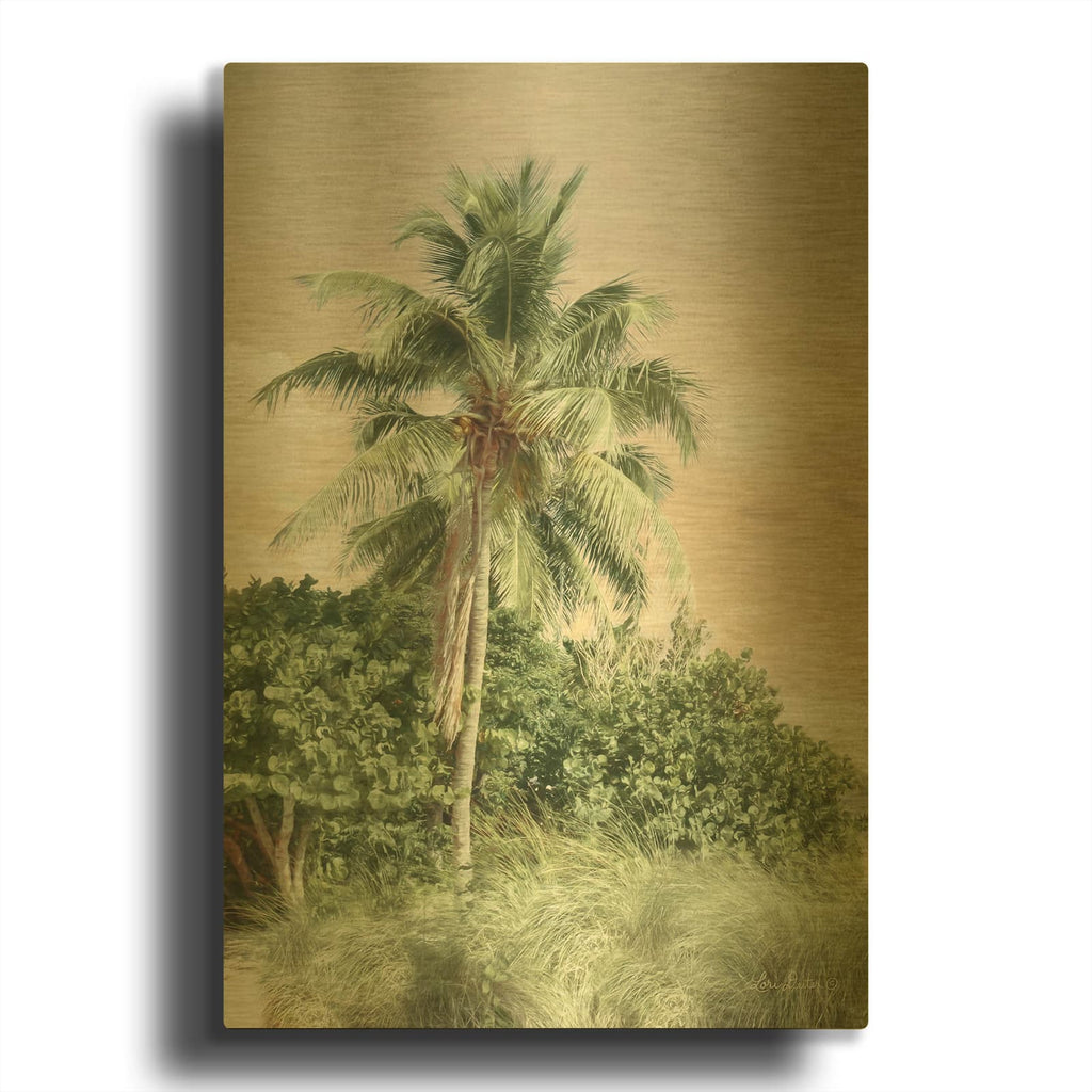 'Sanibel Island Palm' By Lori Deiter Gold Metal Wall Art