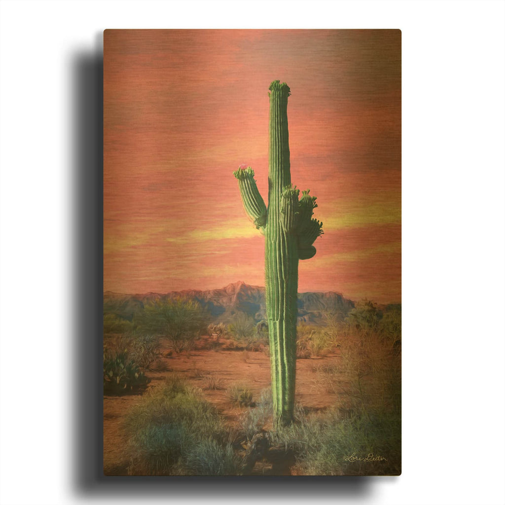 'Vibrant Cactus Sunset' By Lori Deiter Gold Metal Wall Art