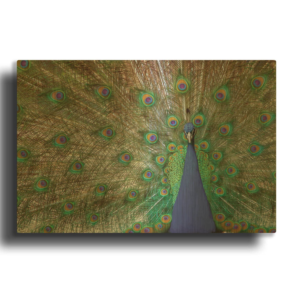 'Peacock' By Lori Deiter Gold Metal Wall Art