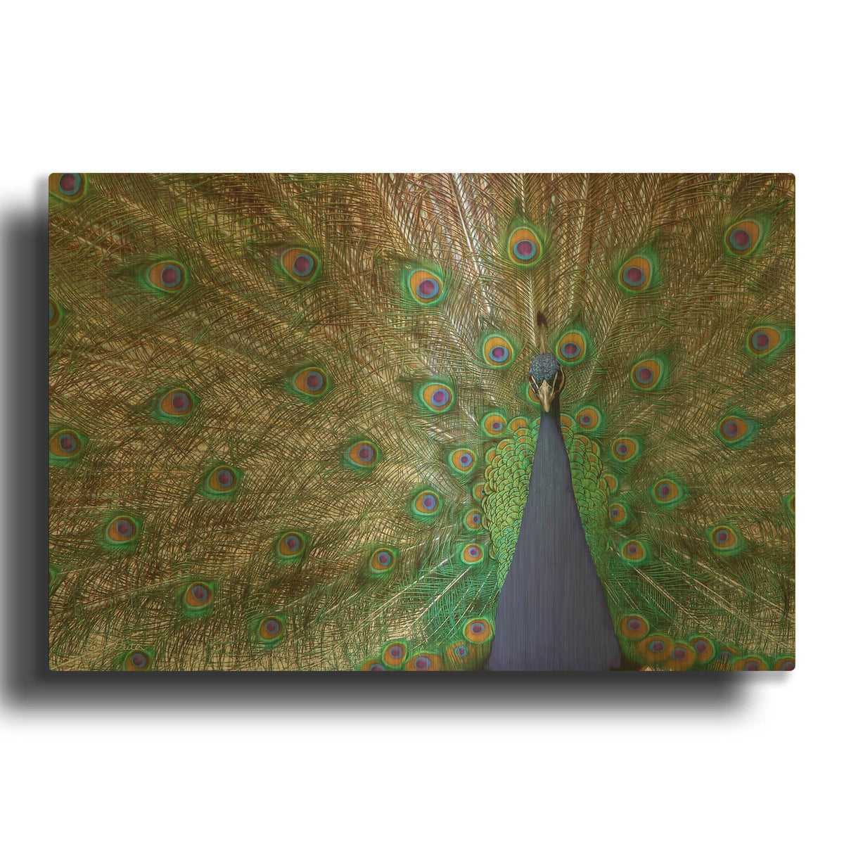 'Peacock' By Lori Deiter Gold Metal Wall Art