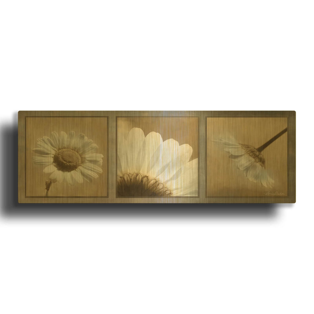 'Daisy Trio' By Lori Deiter Gold Metal Wall Art