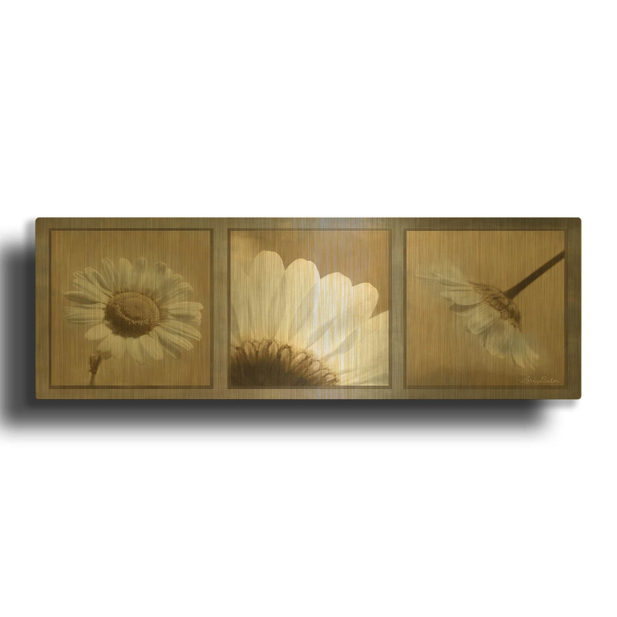 'Daisy Trio' By Lori Deiter Gold Metal Wall Art