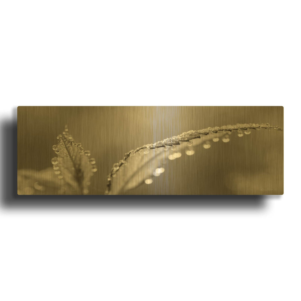 'Dewey Morning' By Lori Deiter Gold Metal Wall Art
