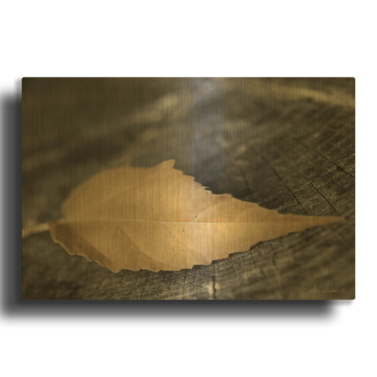 'Natural Gold Leaf' By Lori Deiter Gold Metal Wall Art