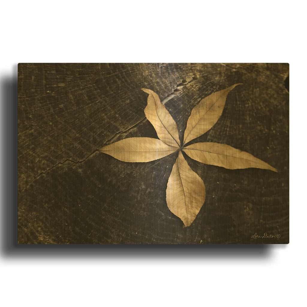 'Natural Buckeye Leaf' By Lori Deiter Gold Metal Wall Art