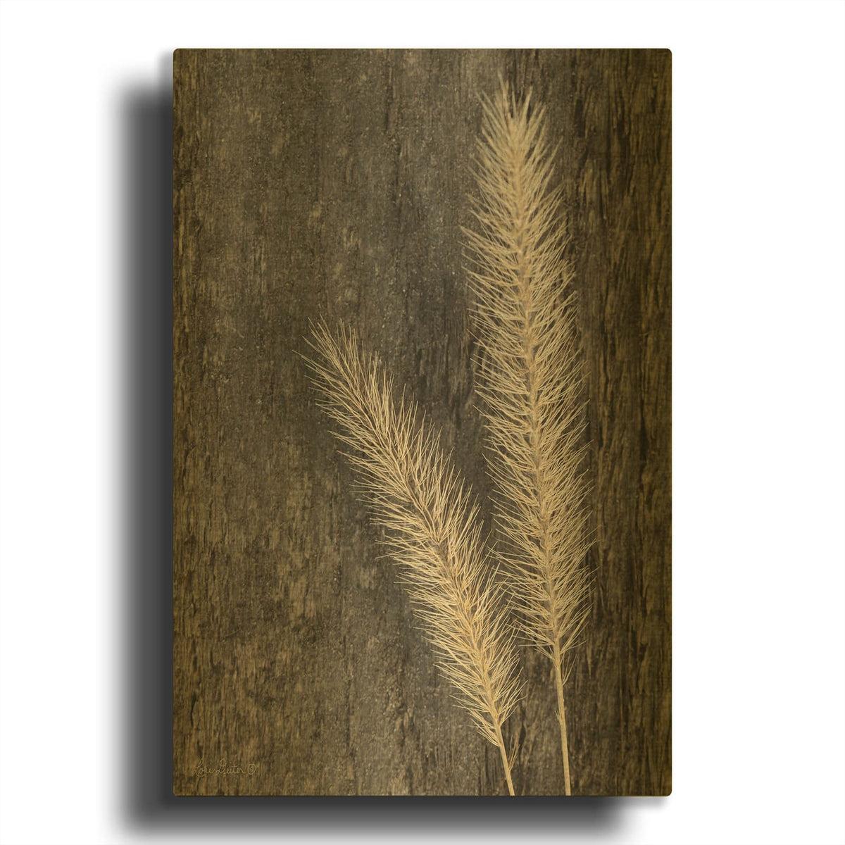 'Natural Wheat' By Lori Deiter Gold Metal Wall Art