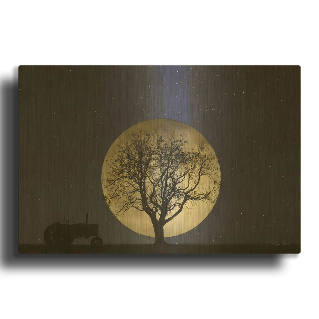 'Full Moon Country Night' By Lori Deiter Gold Metal Wall Art