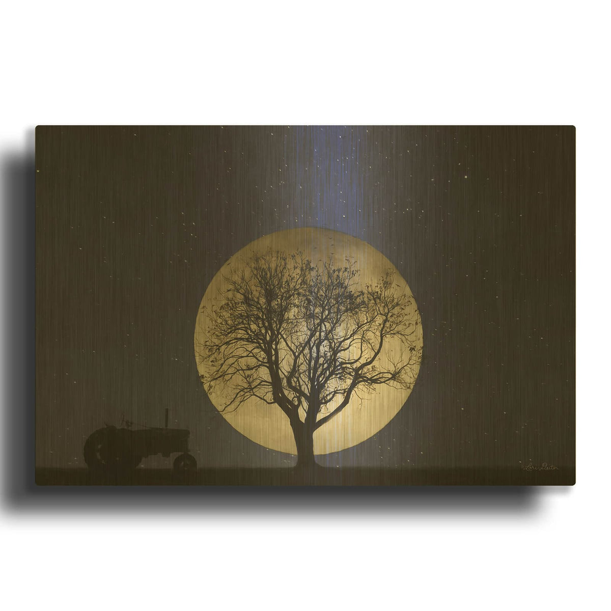 'Full Moon Country Night' By Lori Deiter Gold Metal Wall Art