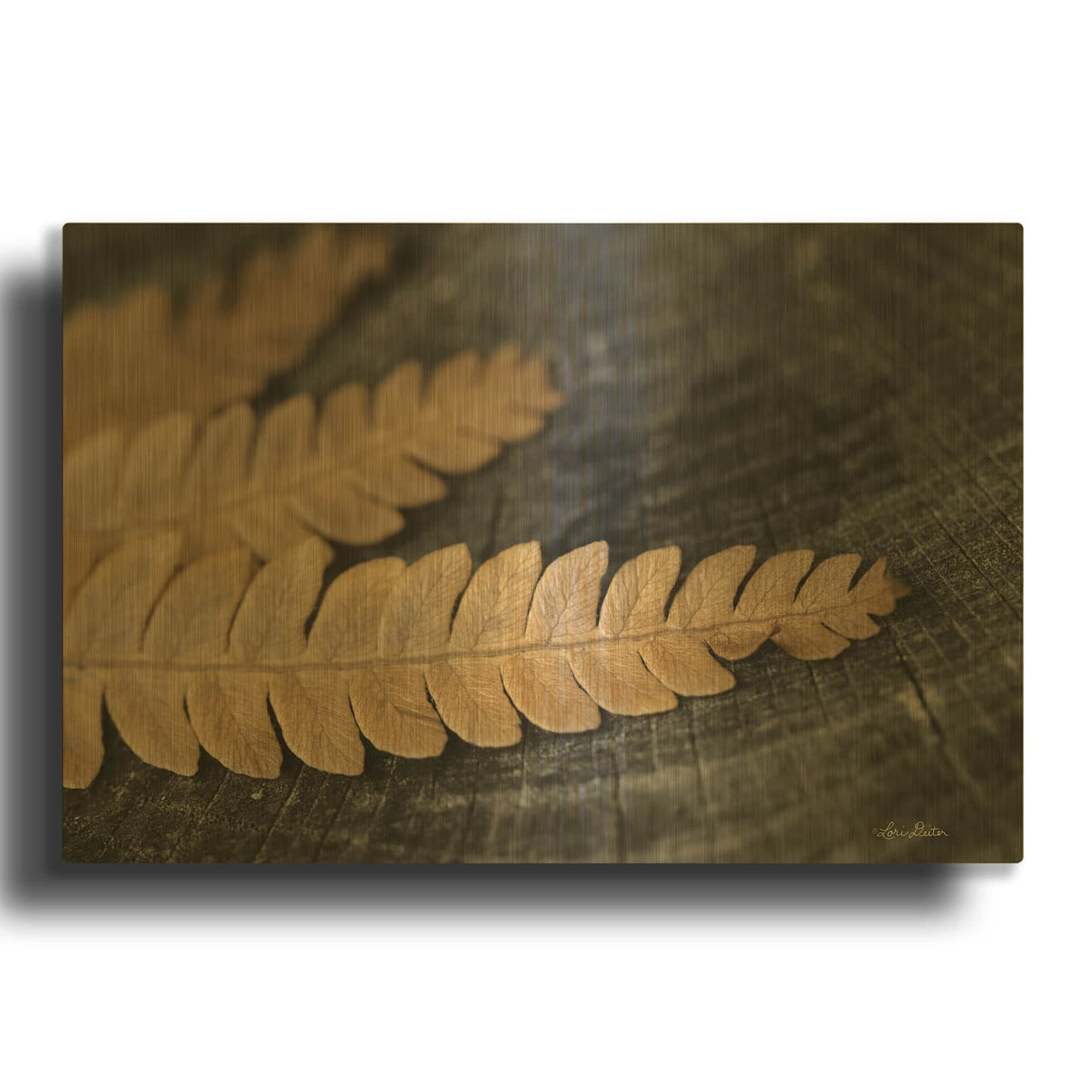 'Gold on Black V' By Lori Deiter Gold Metal Wall Art