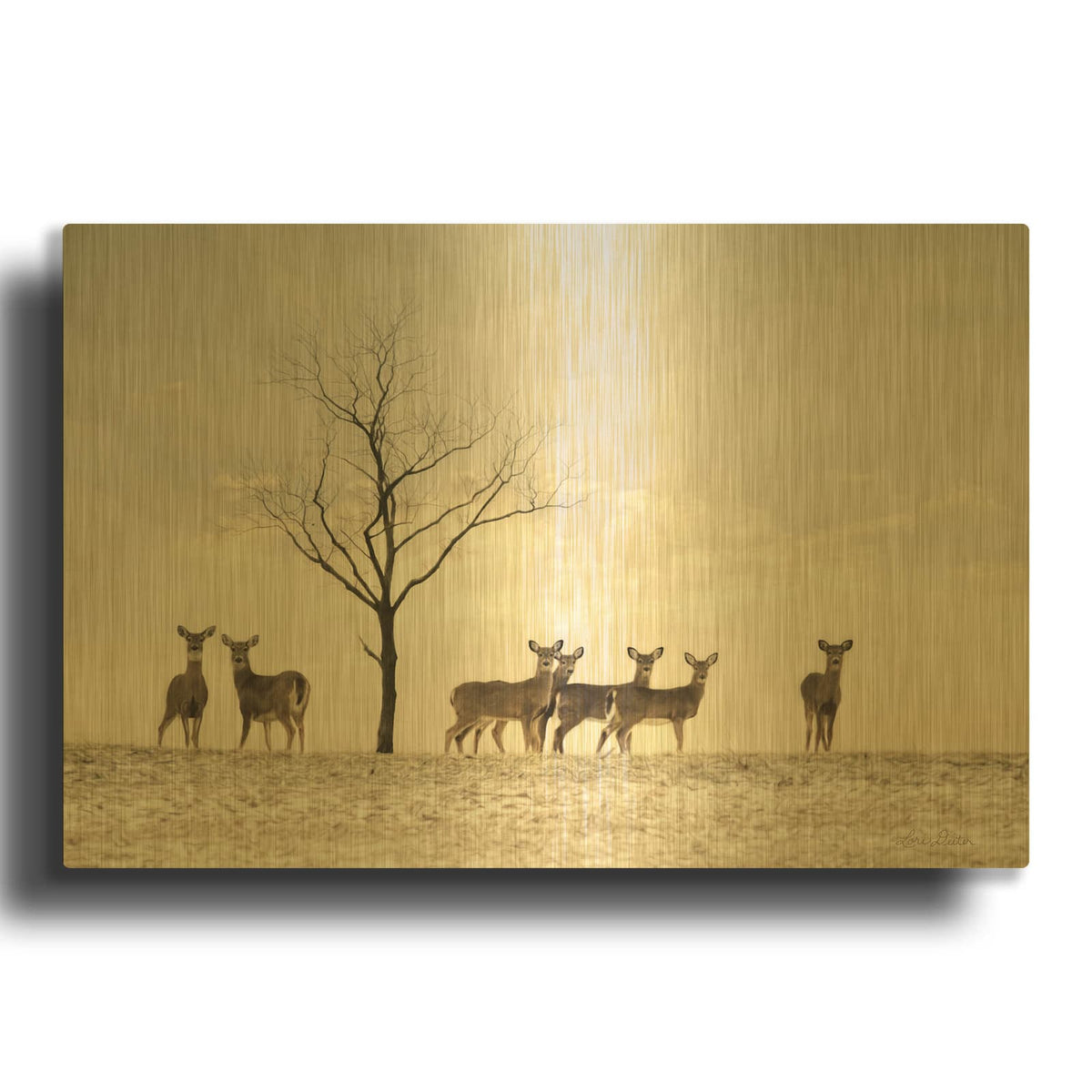 'Doe a Deer' By Lori Deiter Gold Metal Wall Art