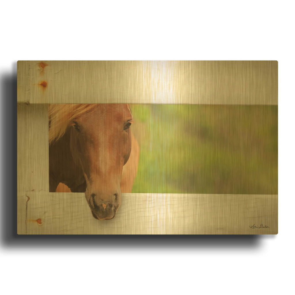 'Horse at Fence' By Lori Deiter Gold Metal Wall Art