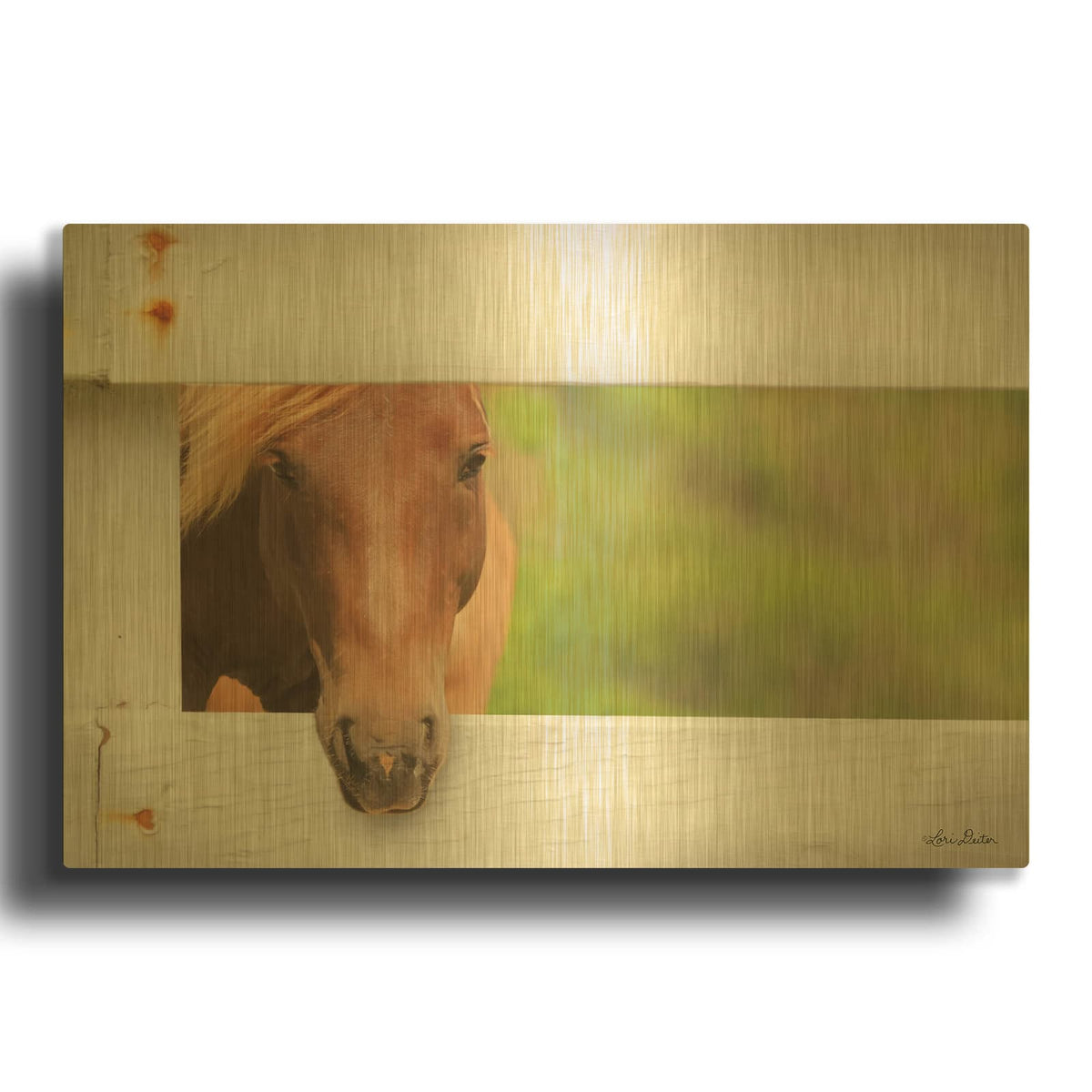 'Horse at Fence' By Lori Deiter Gold Metal Wall Art