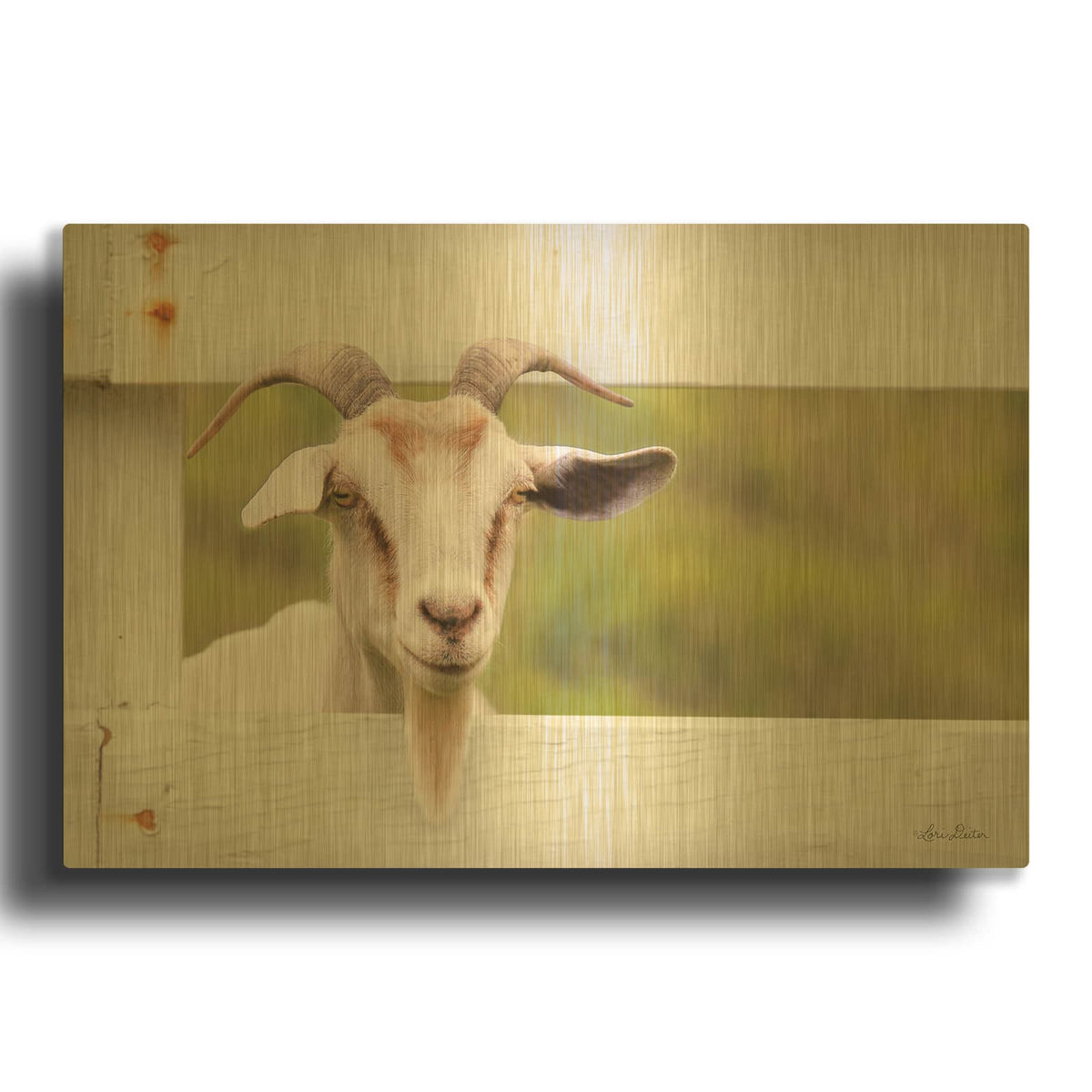 'Goat at Fence' By Lori Deiter Gold Metal Wall Art