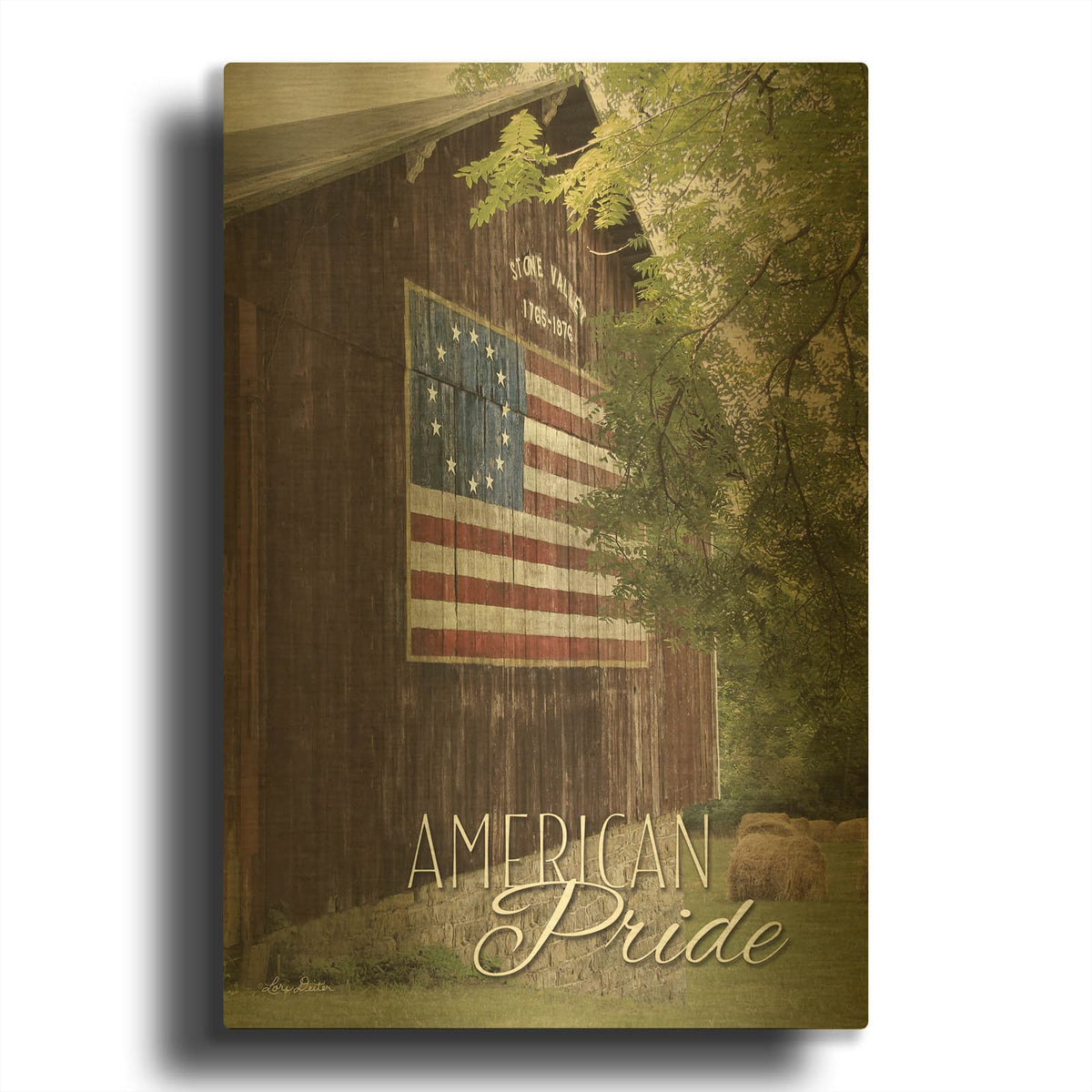 'American Pride' By Lori Deiter Gold Metal Wall Art
