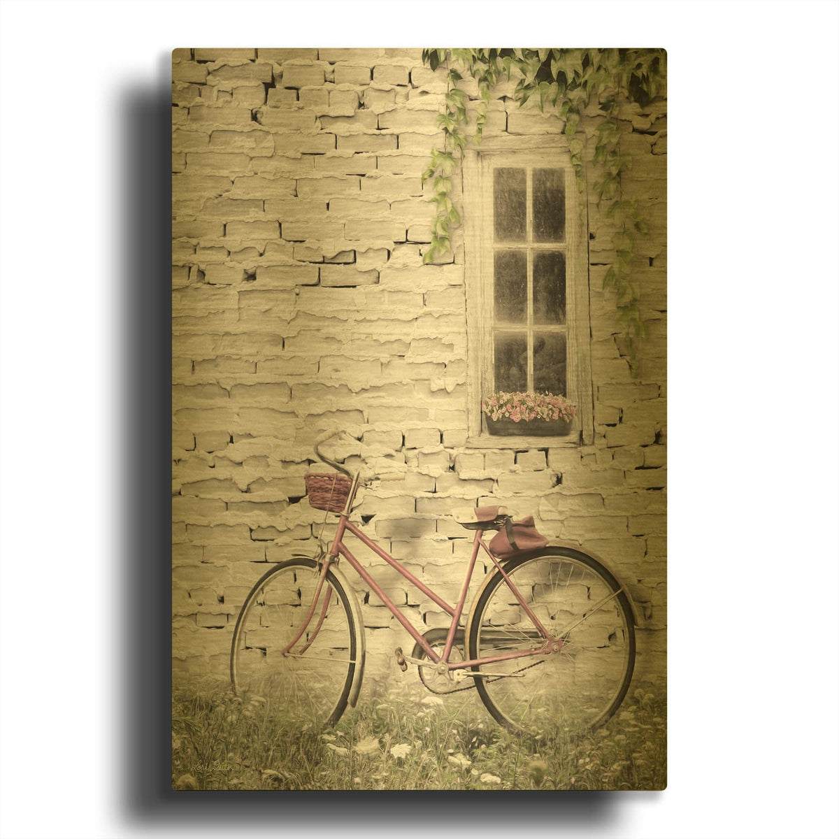 'Ready for a Bike Ride' By Lori Deiter Gold Metal Wall Art