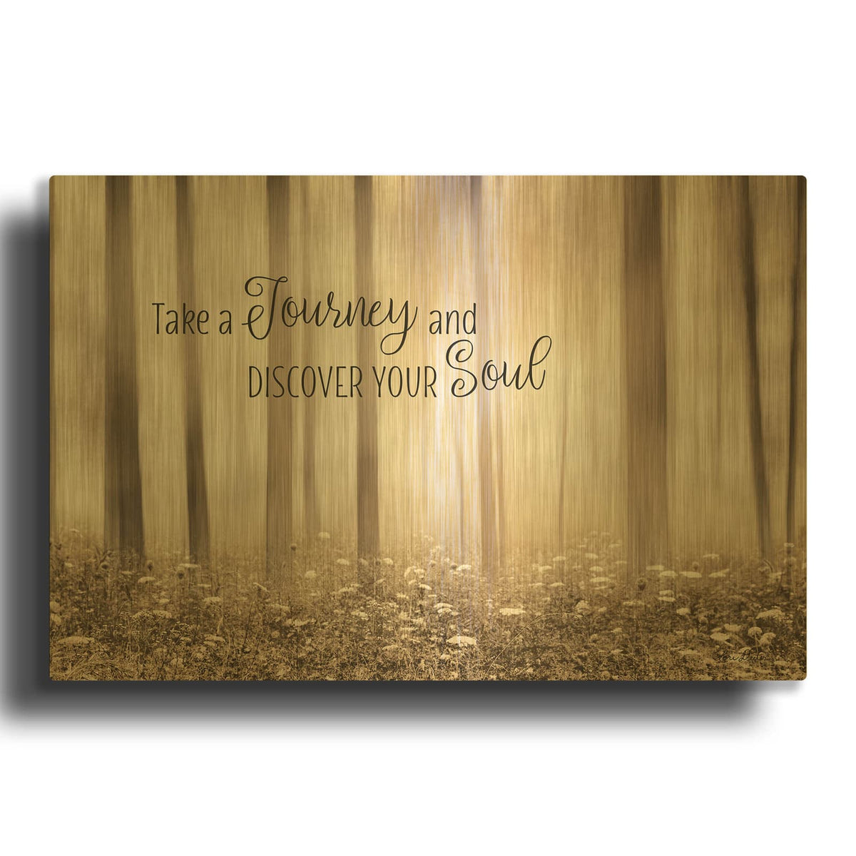 'Take a Journey and Discover Your Soul' By Lori Deiter Gold Metal Wall Art