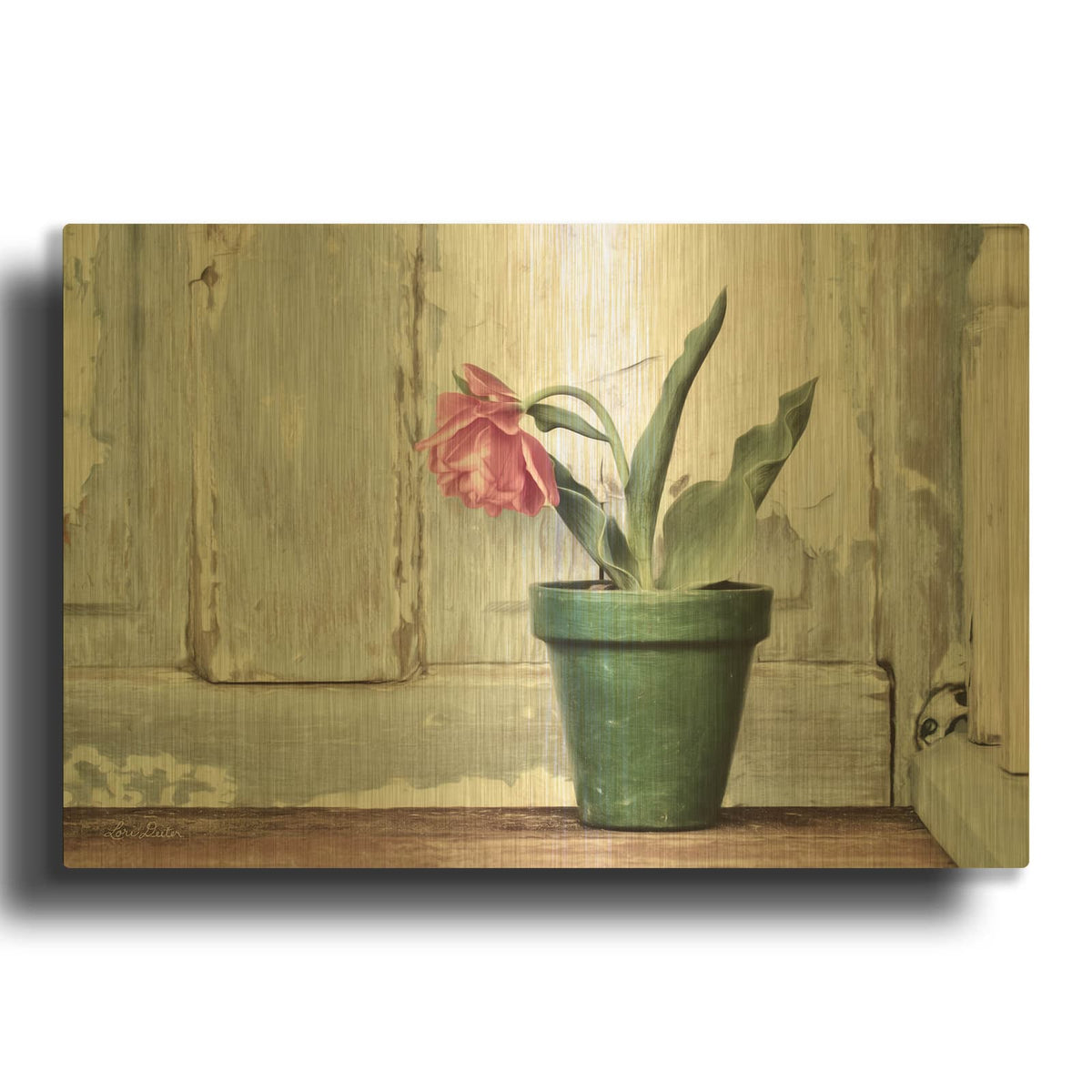 'Take a Bow Tulip' By Lori Deiter Gold Metal Wall Art
