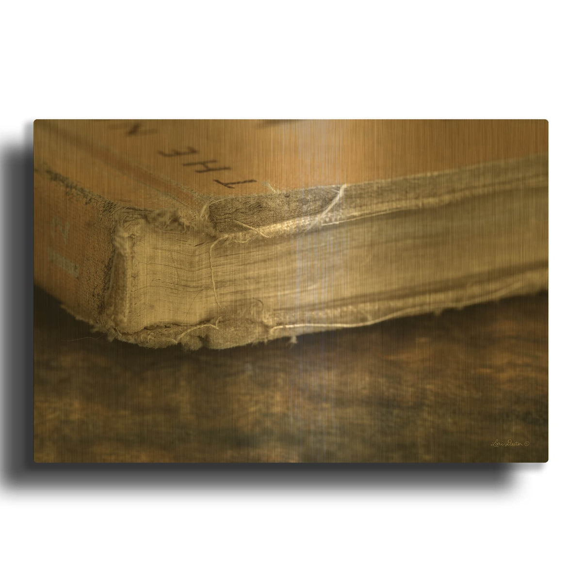 'Well Read' By Lori Deiter Gold Metal Wall Art
