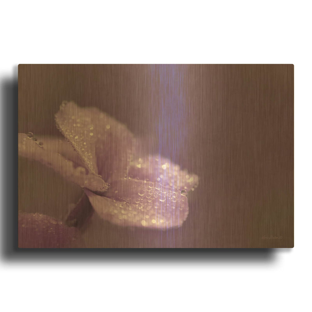 'Purple Dew' By Lori Deiter Gold Metal Wall Art