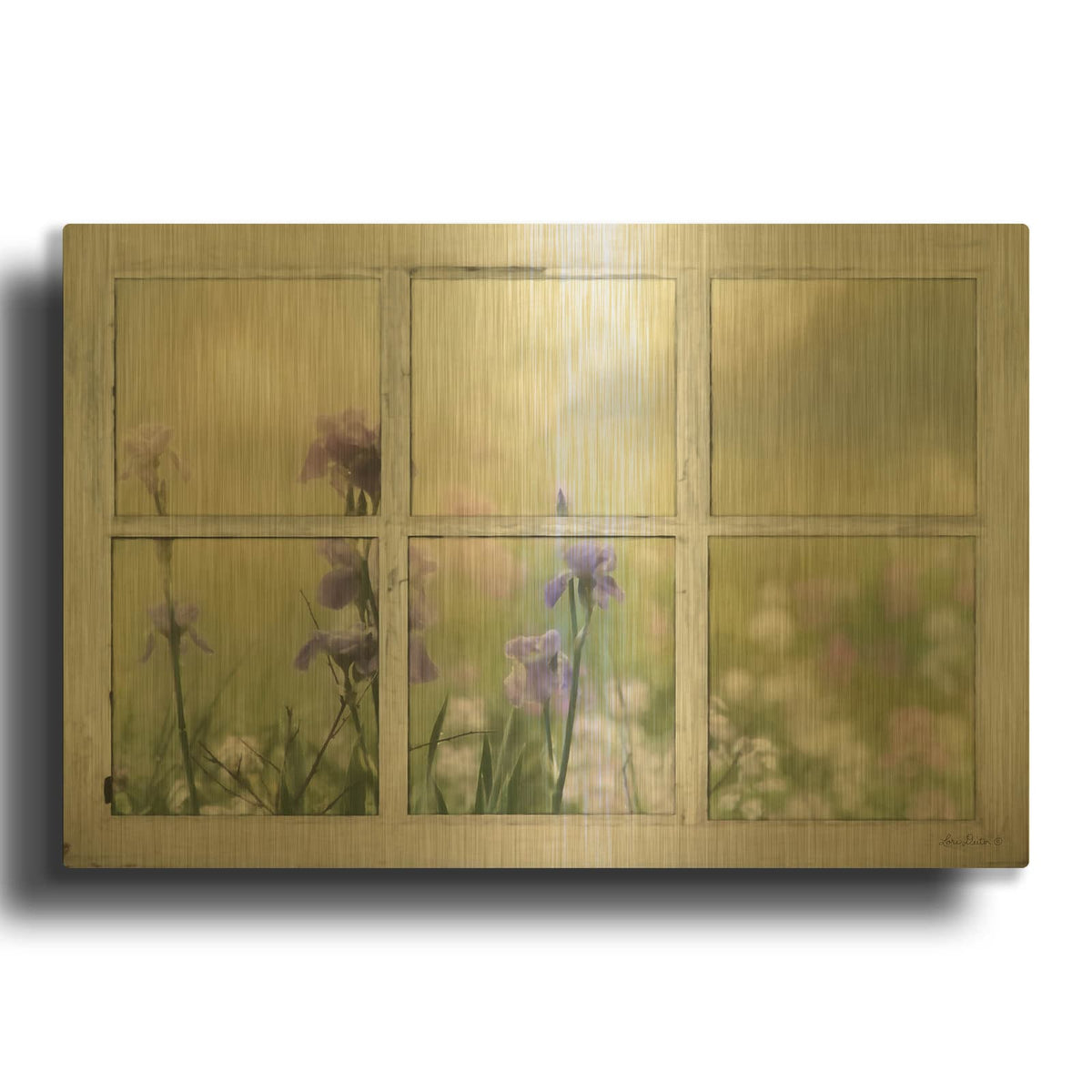 'Framed Flowers' By Lori Deiter Gold Metal Wall Art