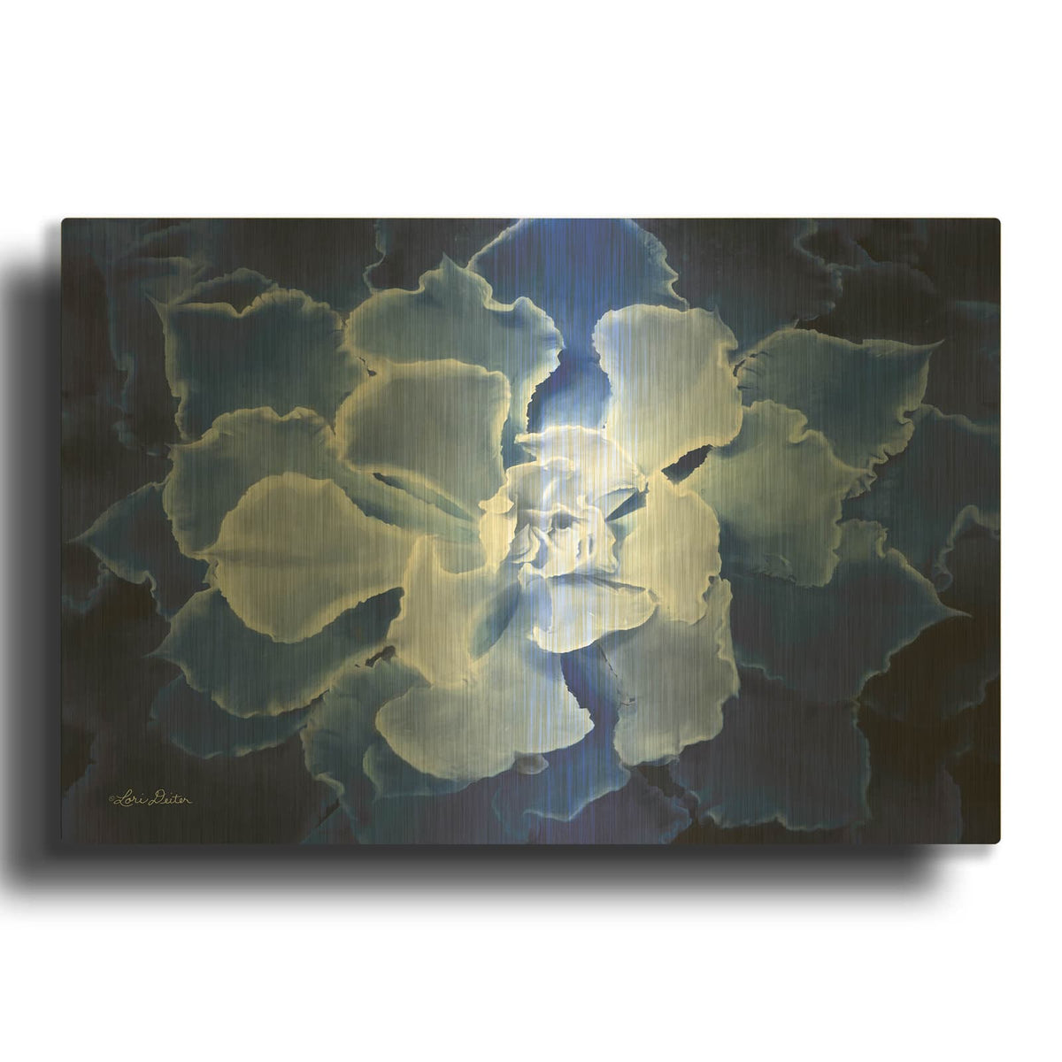'Blue Succulent I' By Lori Deiter Gold Metal Wall Art