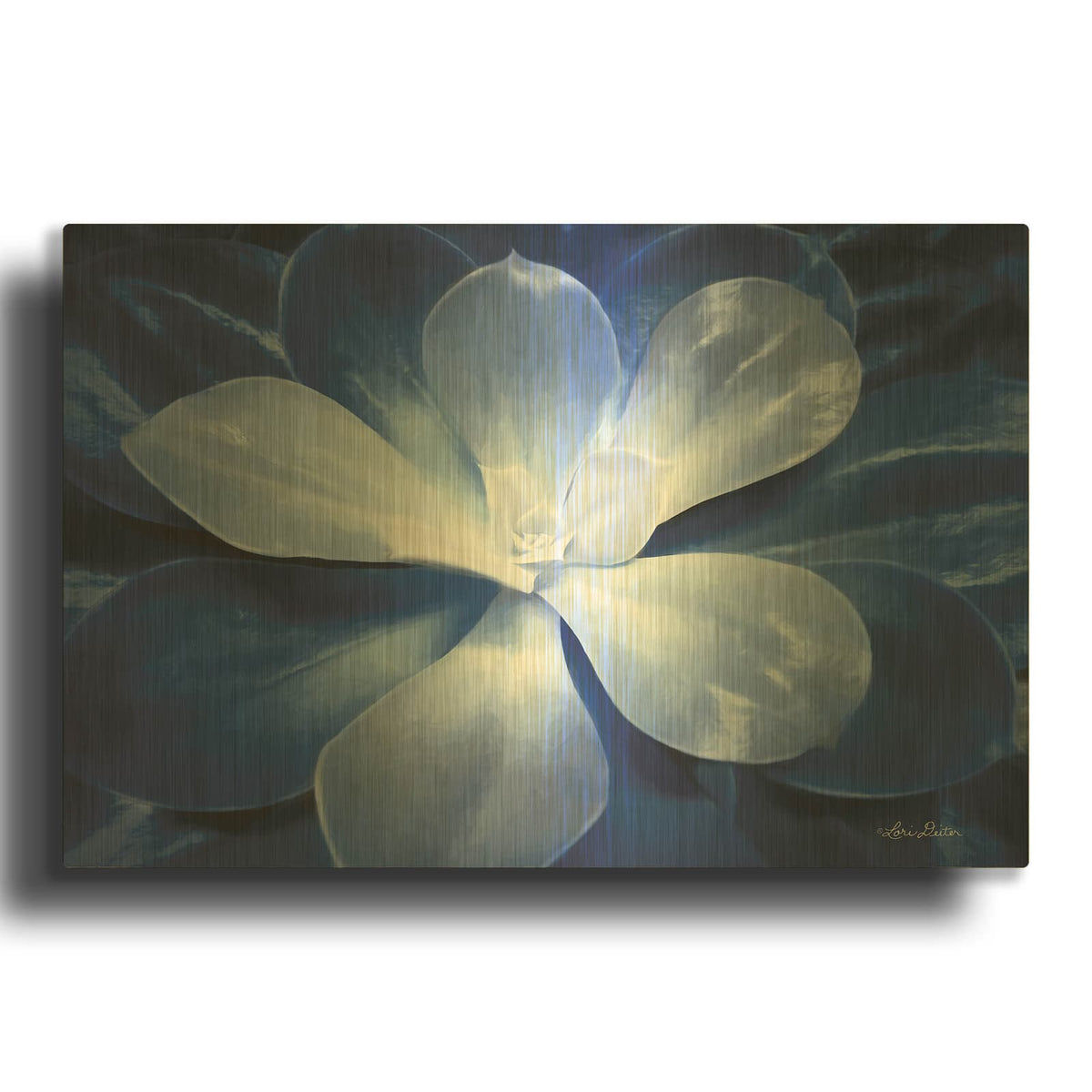 'Blue Succulent II' By Lori Deiter Gold Metal Wall Art