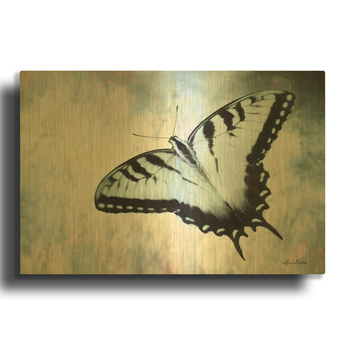 'Teal Butterfly II' By Lori Deiter Gold Metal Wall Art